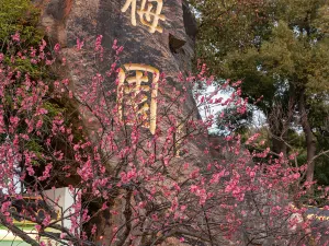 Plum Garden