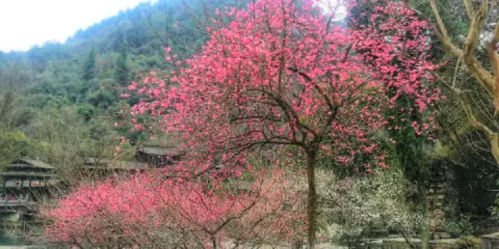 車溪民俗旅遊區