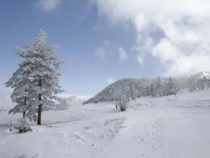 station de ski internationale de Kusatsu