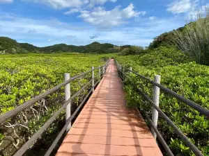 Tanegashima
