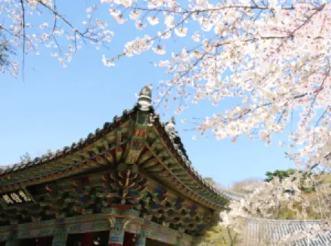 Tempio di Bulguksa