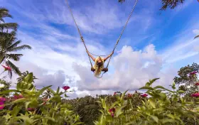 Real Bali Swing