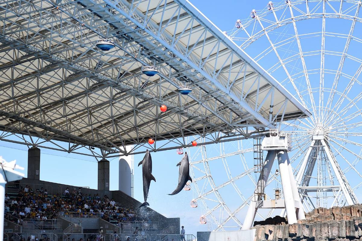 나고야항 수족관