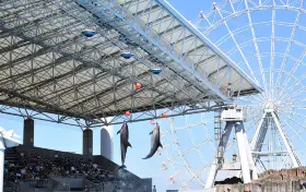 名古屋港水族館