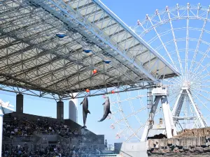 Port Of Nagoya Public Aquarium