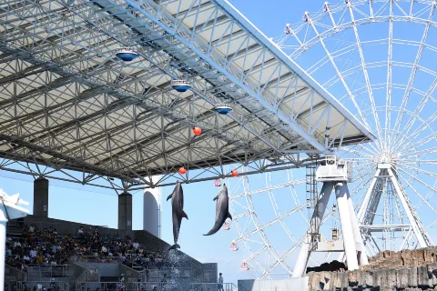 Aquarium du port de Nagoya