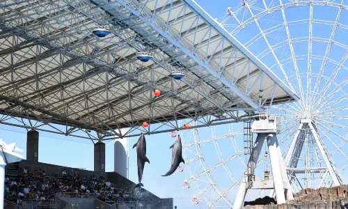 Port Of Nagoya Public Aquarium