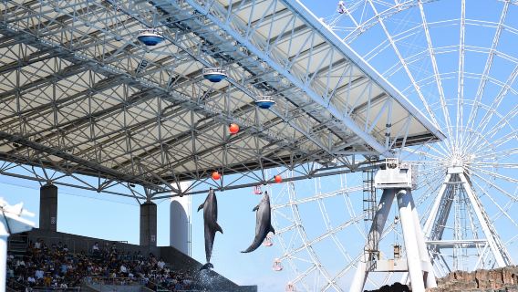 Port Of Nagoya Public Aquarium
