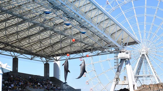 Port Of Nagoya Public Aquarium