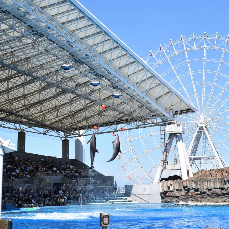 名古屋港水族館
