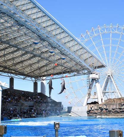 Port Of Nagoya Public Aquarium