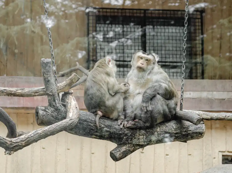 3_Qingdao Zoo