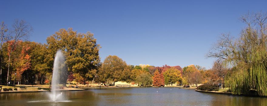 自由公園
