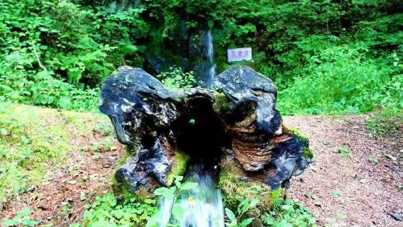 Wuying National Forest Park - Wudie Spring