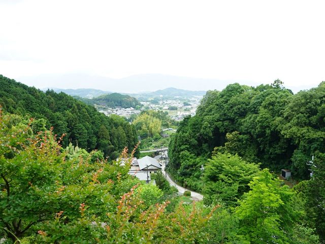 奈良県　岡寺