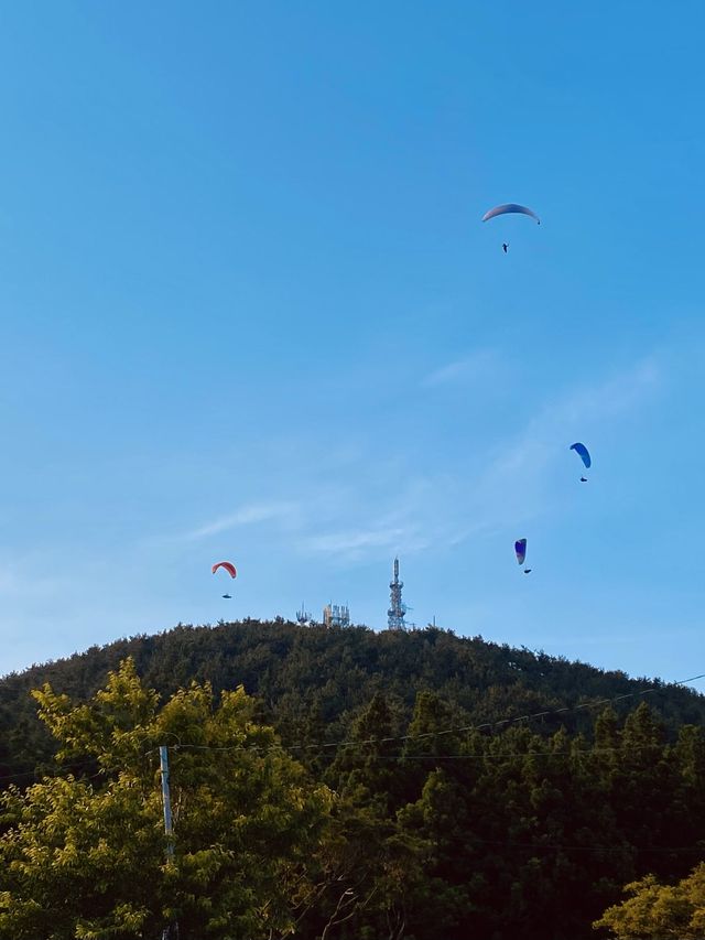 제주도 노을맛집, 포토존 새별오름