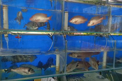 红运饭店