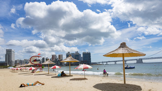 Busan
