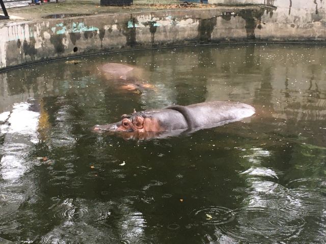 武漢動物園