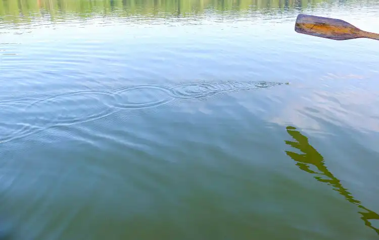 Hotels near Yanyuluzhou Wetland