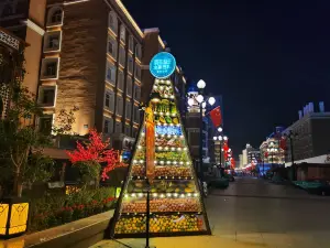 Attrazioni del Giro Notturno a Urumqi: le opzioni più popolari