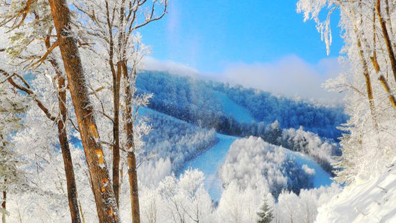 Yabuli Primeval Forest Trekking