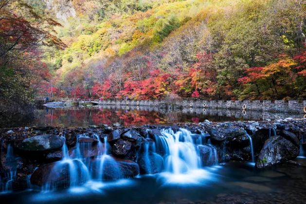 5-Star-Hotels in Benxi