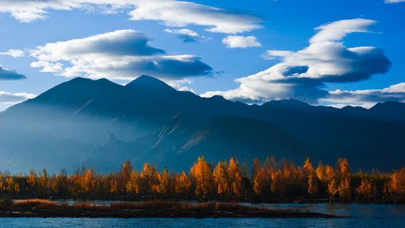 Linzhi