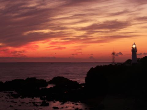 莎莎（佐敦道31店）附近酒店