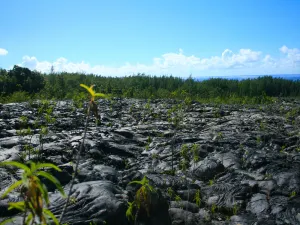 Parco nazionale Vulcani delle Hawaii
