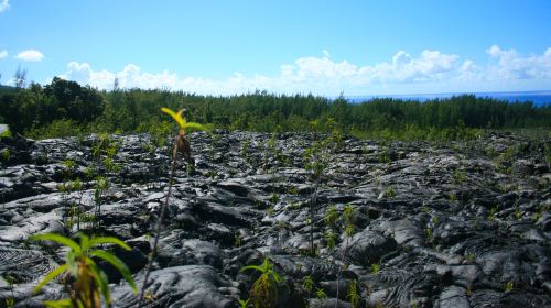 Hawaiʻi Volcanoes National Park