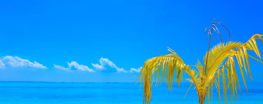 Apo Reef Natural Park