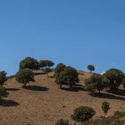 Отзывы об отеле Adams Peak Inn