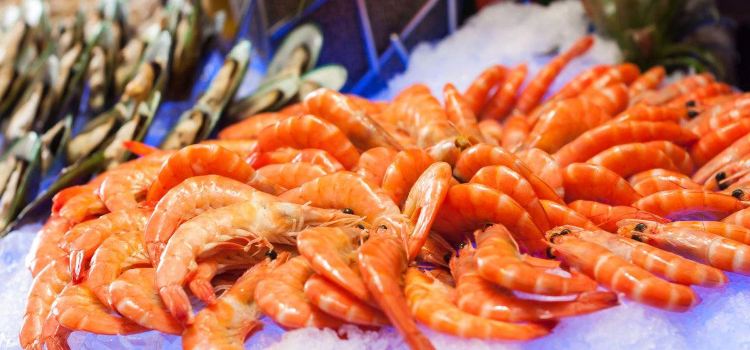 河源巴伐利亚庄园福朋喜来登酒店·宜客乐西餐厅