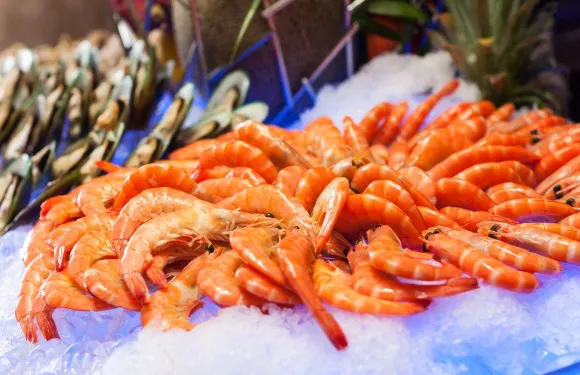 河源巴伐利亞莊園福朋喜來登酒店·宜客樂西餐廳