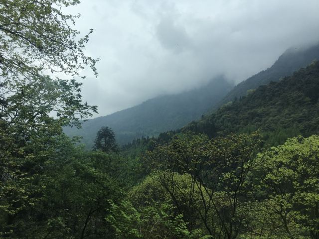 Emei Mountain