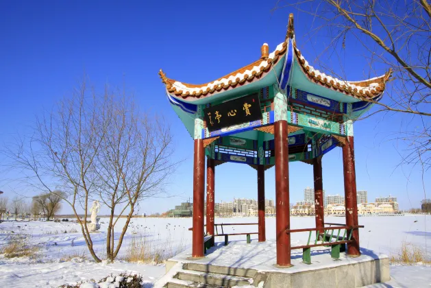 Pet-friendly Hotels in Jiujiang