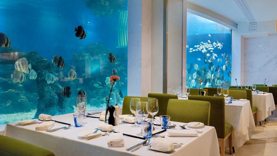 三亚亚龙湾迎宾馆·海洋主题海蓝餐厅