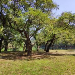 下淤水岸烧烤园 User Photo