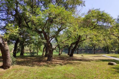 下淤水岸烧烤园