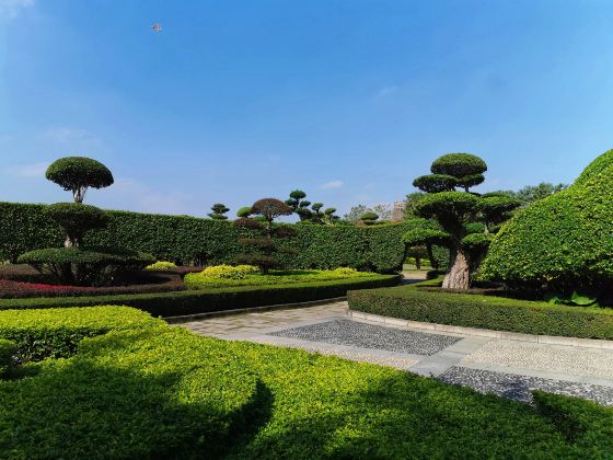 Guangxi Precious Tree Species Exhibition Garden