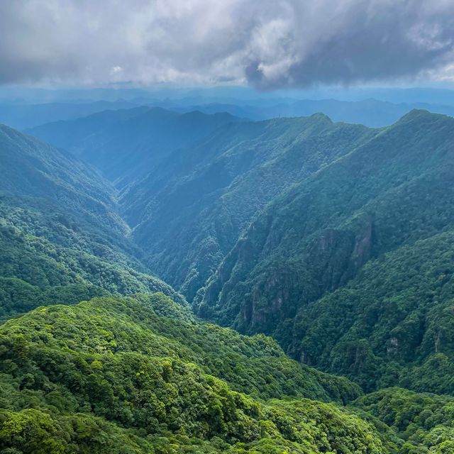 Guizhou - Tongren - Mount Fanjing 