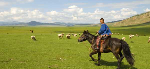 Hotel di Mongolia