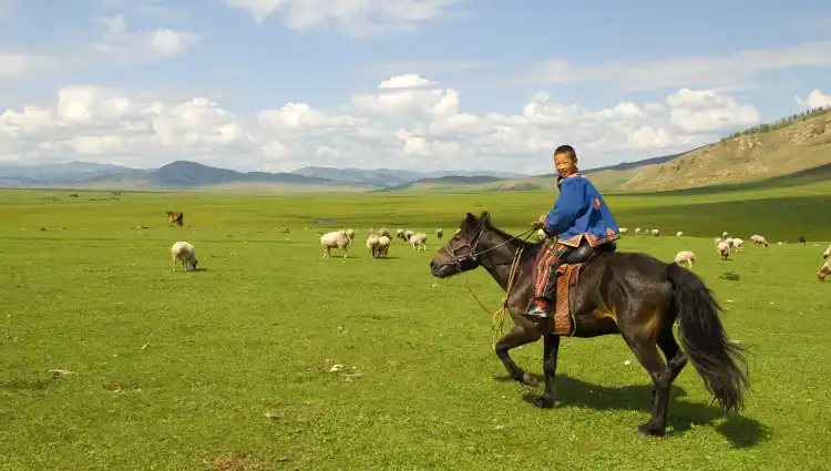 Apartments in Mongolia