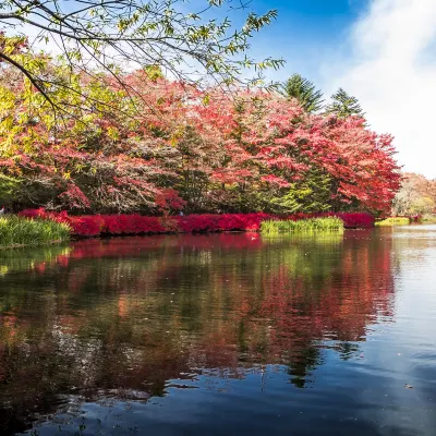 Отзывы об отеле Hotel New Yama