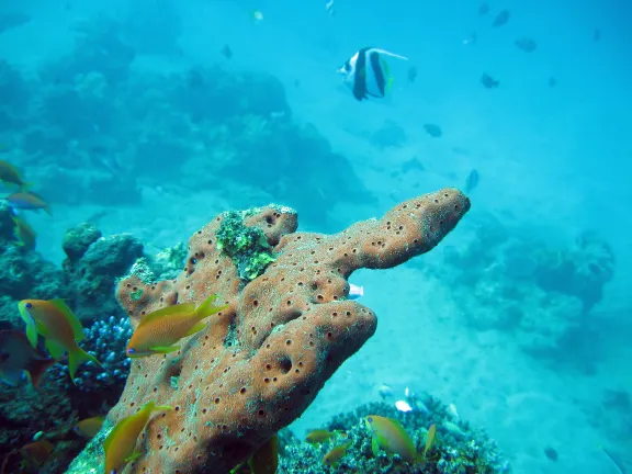 5-Star Hotels in Koh Samet