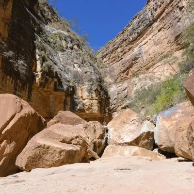 Разрешено размещения с домашними животными Отели в г. Санта-Круз