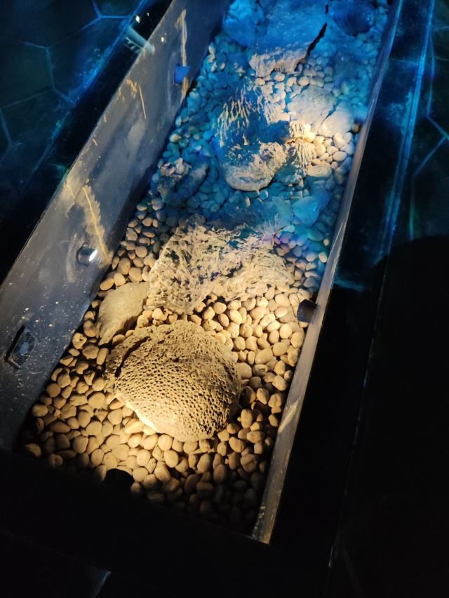 Liuzhou Museum