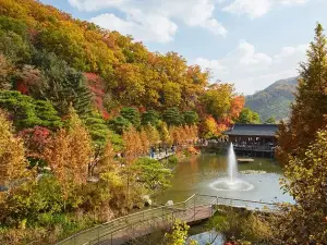 경기도의 인기 가을 경치