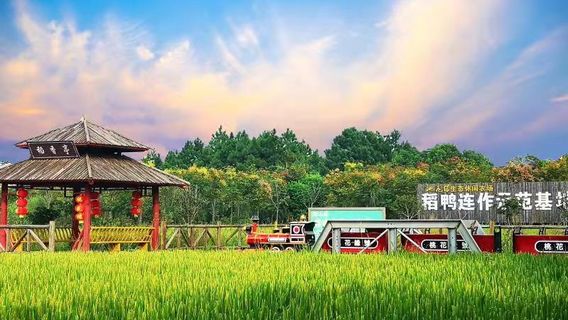 Peach Blossom Ecological Leisure Farm